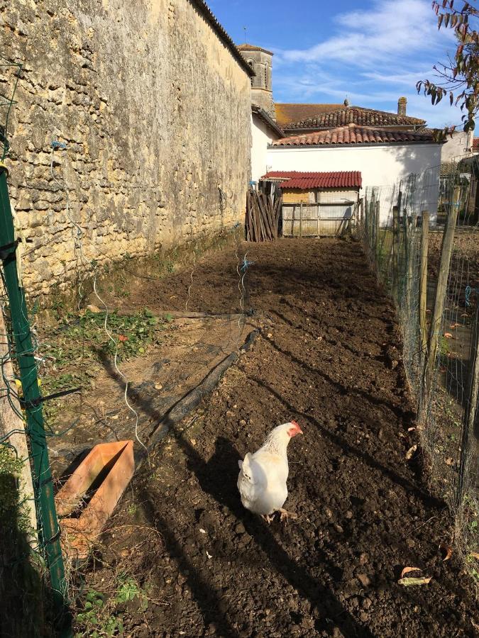 Gites Jardin-Darcy - Piscine Au Sel Bois Exterior photo