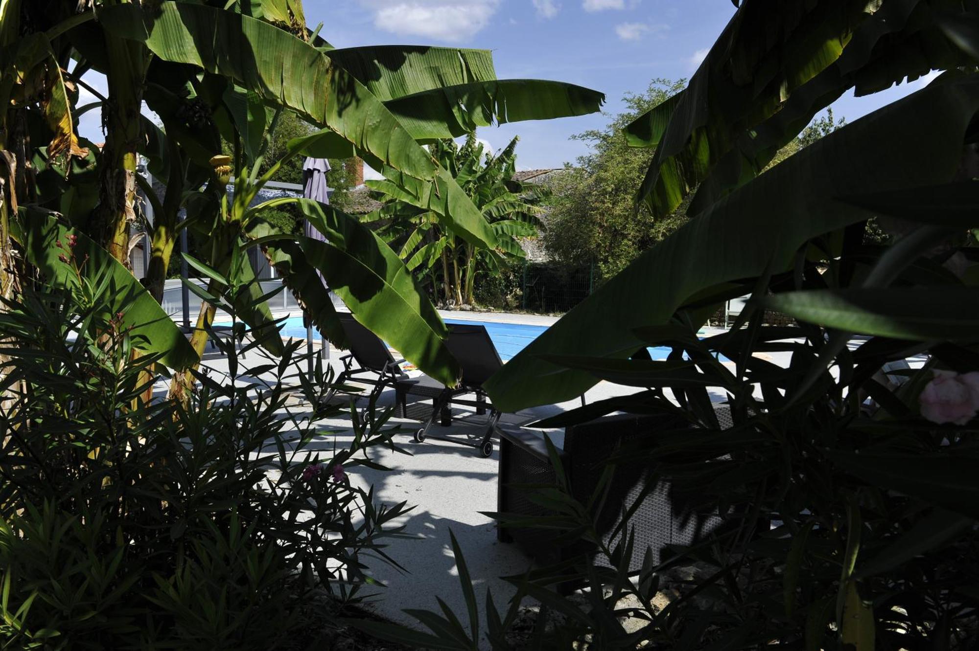 Gites Jardin-Darcy - Piscine Au Sel Bois Exterior photo