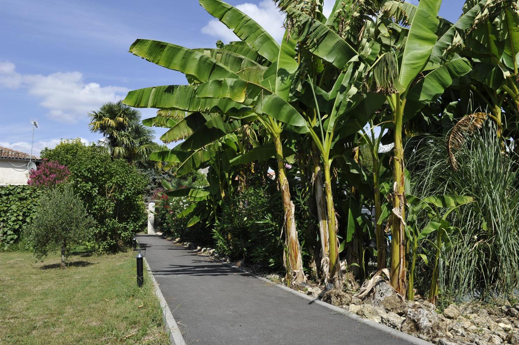 Gites Jardin-Darcy - Piscine Au Sel Bois Exterior photo