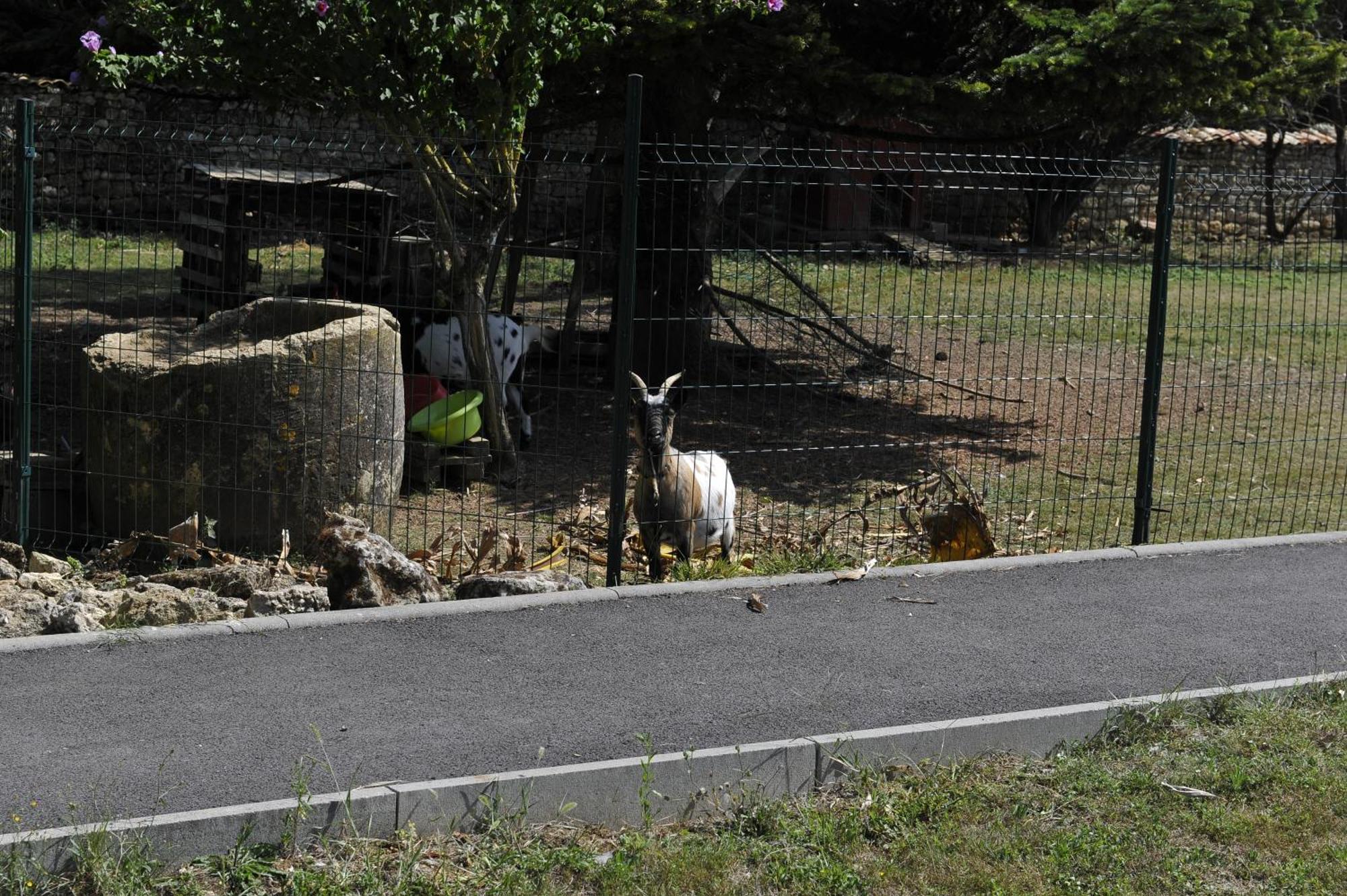 Gites Jardin-Darcy - Piscine Au Sel Bois Exterior photo